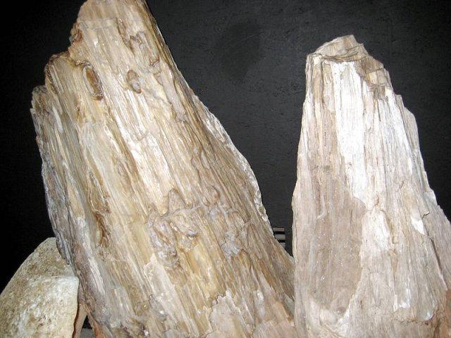 14-10-07 026